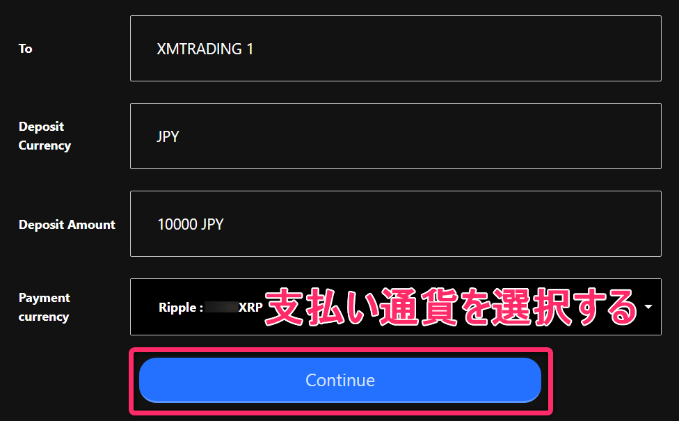 BXONEの支払い画面